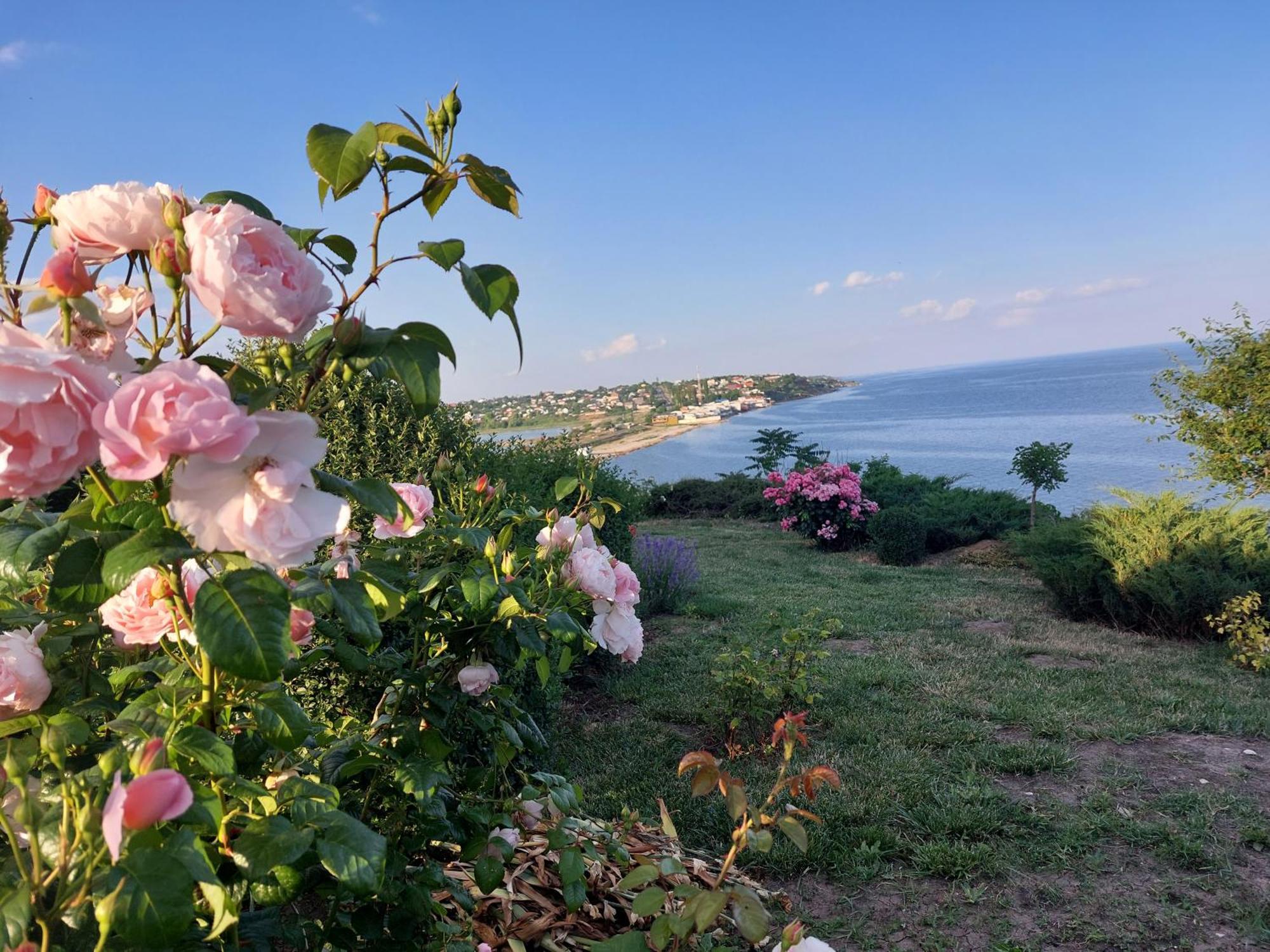 Villa Lavanda Вапнярка Екстериор снимка